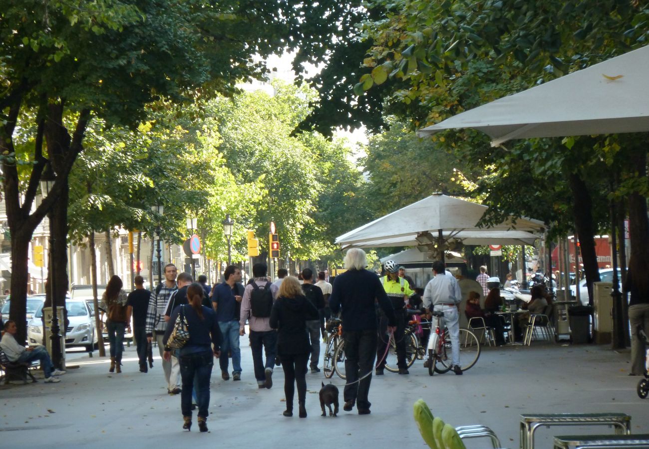 Apartamento en Barcelona - MARQUES, moderno piso renovado de 4 dormitorios en alquiler por días en Barcelona centro, Eixample, Sant Antoni.