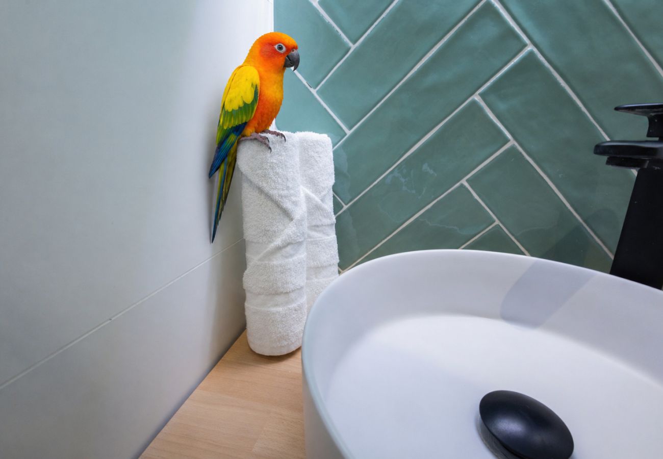 Apartamento en Valencia - Pirate Studio I | 2 Viajeros | 15 min Oceanografic