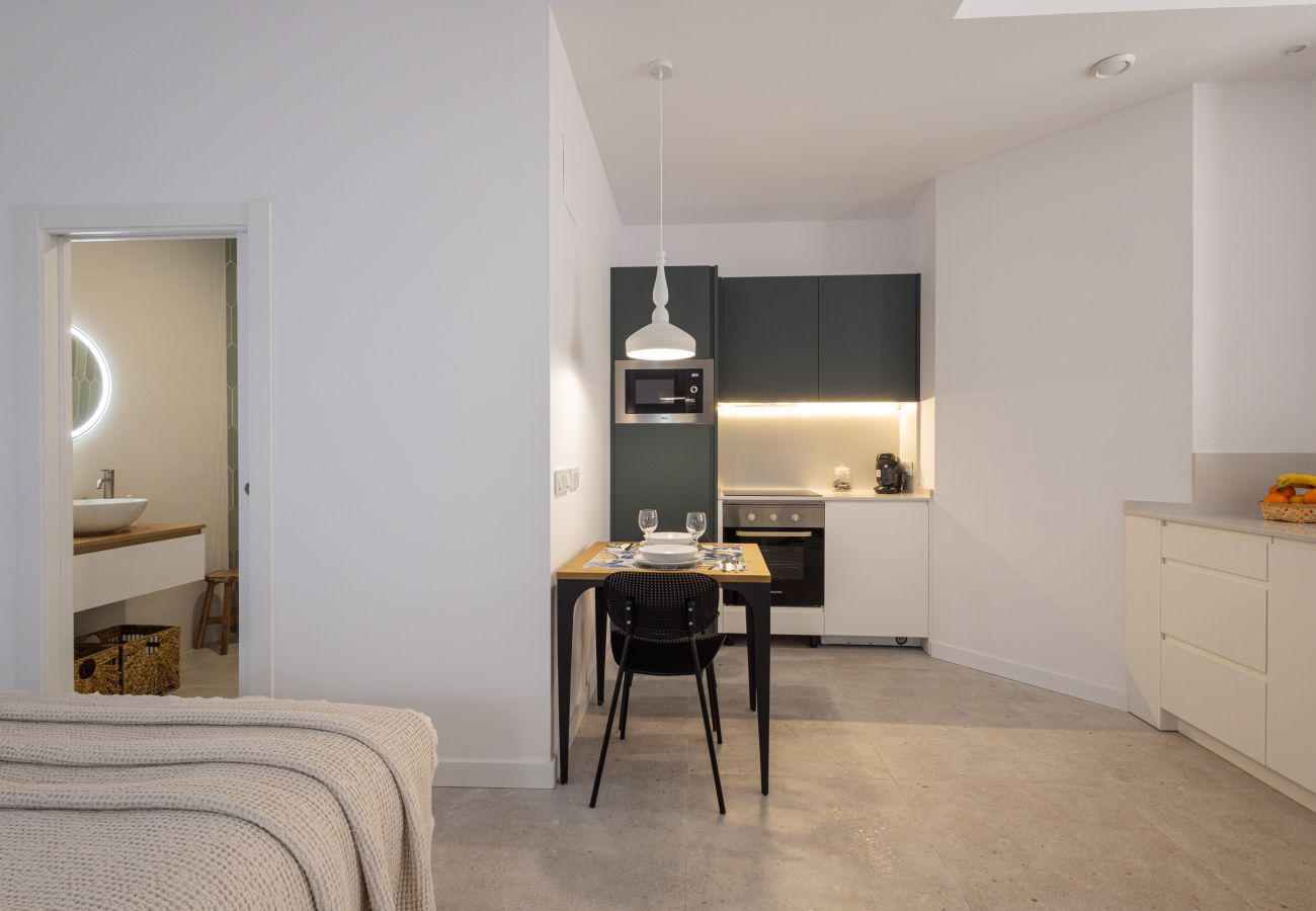 Apartamento en Valencia - The Joaquin Sorolla Apartment V by Florit Flats