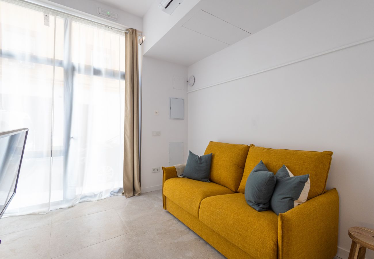 Apartamento en Valencia - The Joaquin Sorolla Apartment V by Florit Flats