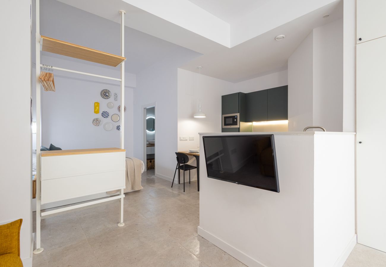 Apartamento en Valencia - The Joaquin Sorolla Apartment V by Florit Flats