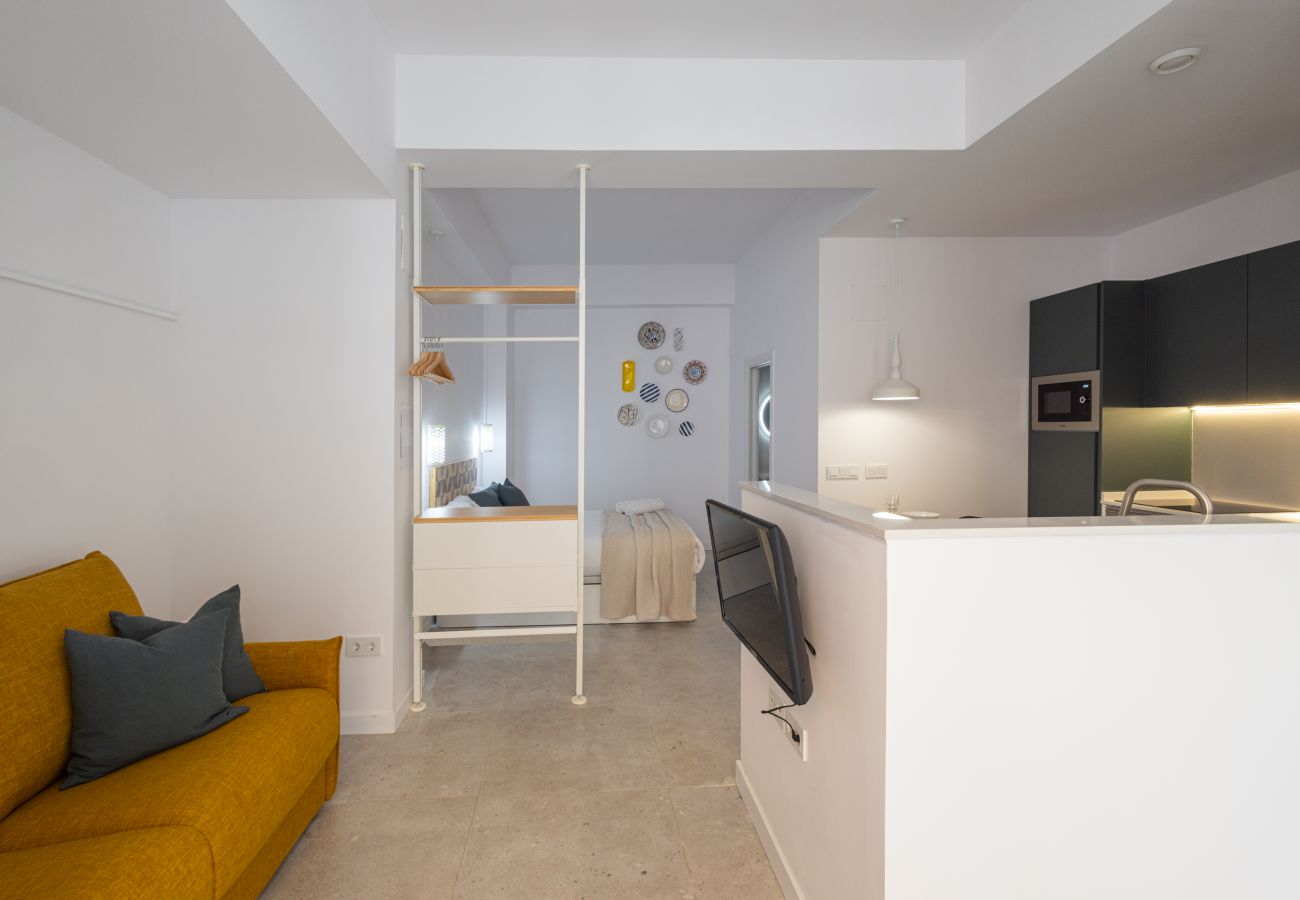 Apartamento en Valencia - The Joaquin Sorolla Apartment V by Florit Flats