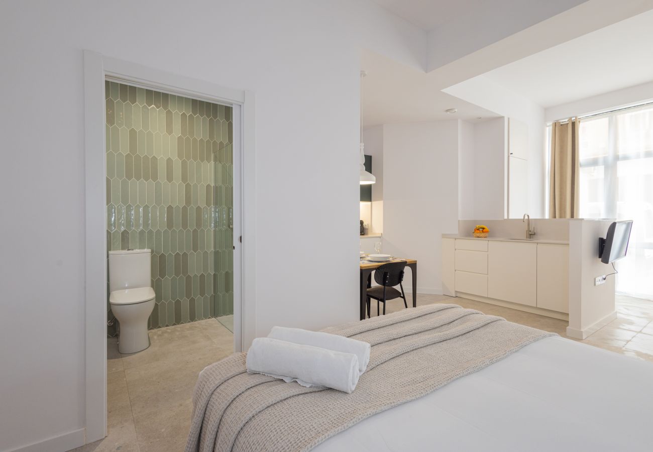 Apartamento en Valencia - The Joaquin Sorolla Apartment V by Florit Flats