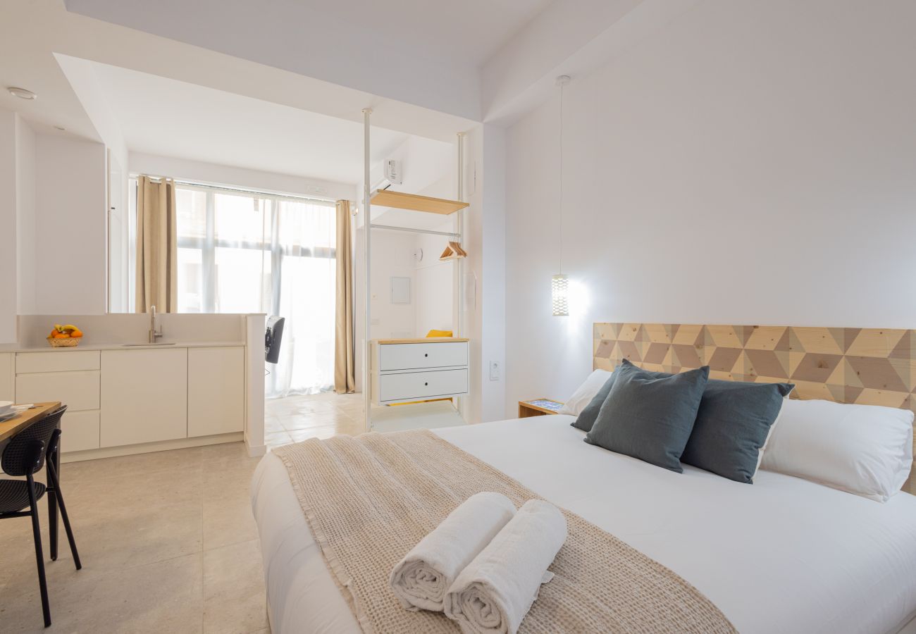 Apartamento en Valencia - The Joaquin Sorolla Apartment V by Florit Flats