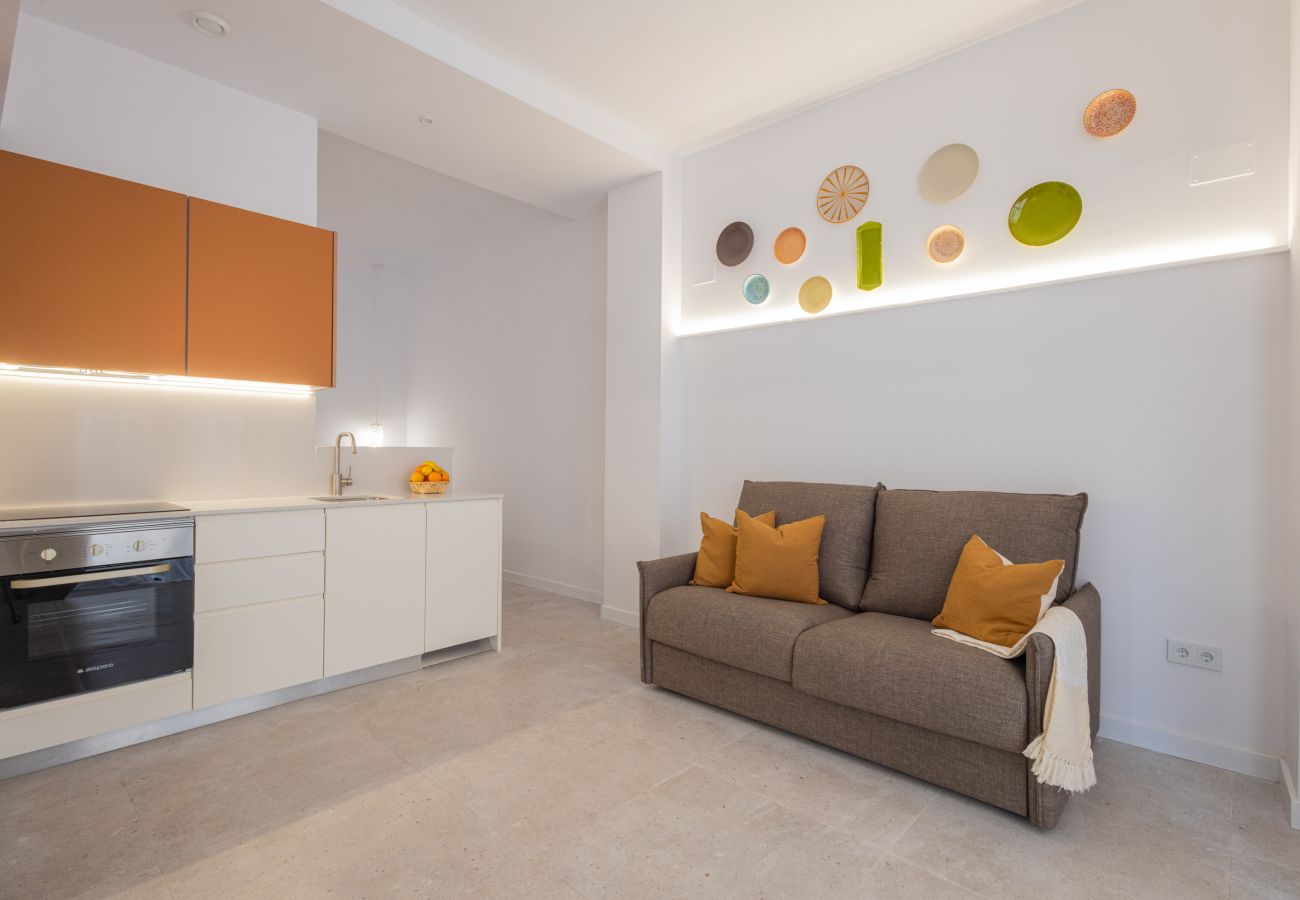 Apartamento en Valencia - The Joaquin Sorolla Apartment VI by Florit Flats